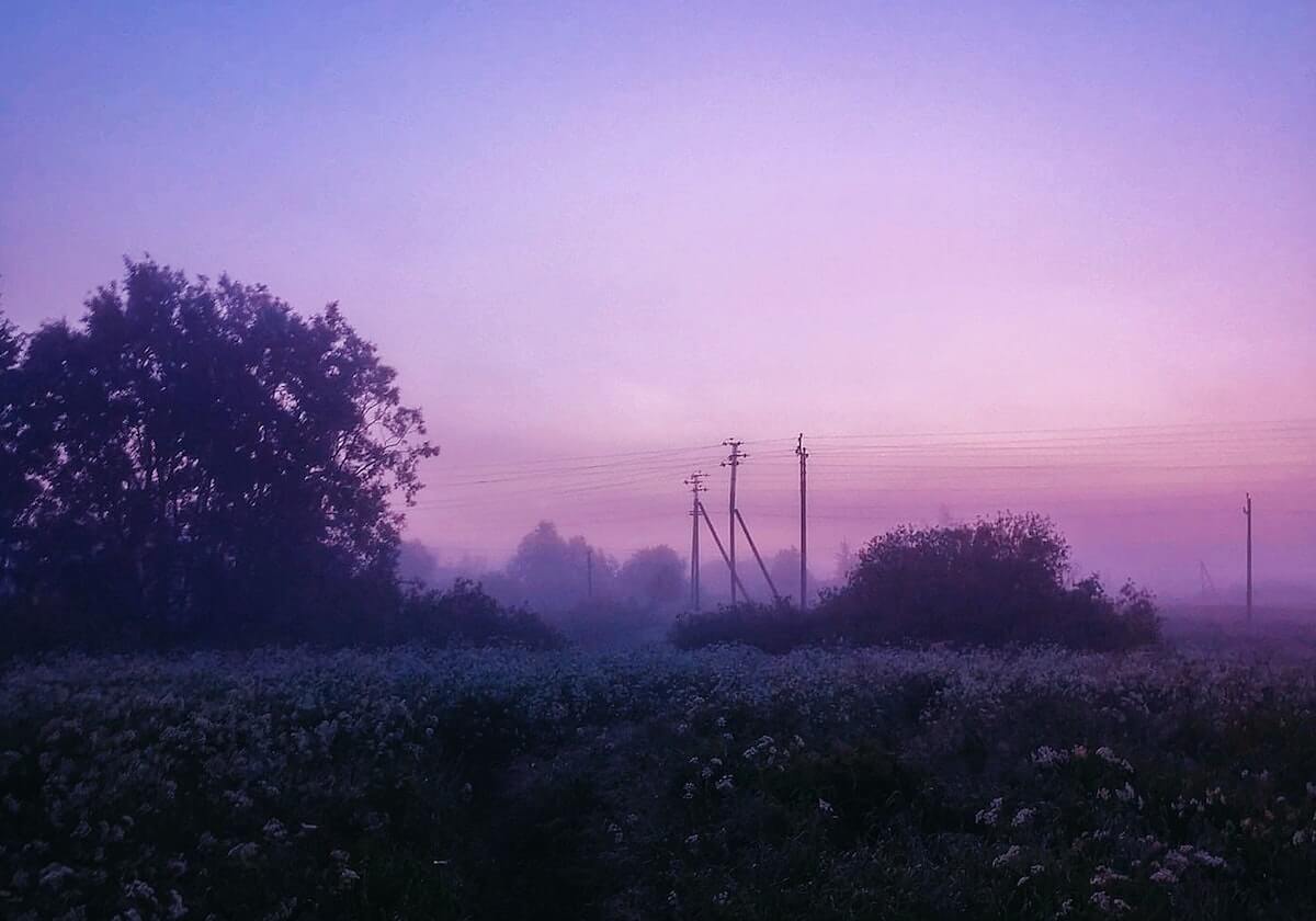 不可不知！百度蜘蛛池让你的网站迅速跃升至搜索引擎前列！